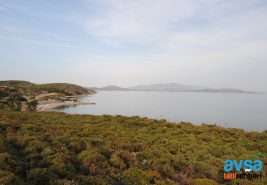 Avşa Adası’ndaki Plajlar Listesi 2024