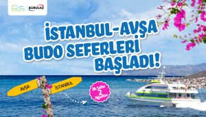 Büyükçekmece Avşa Adası Feribot Seferleri 2026