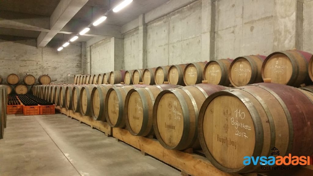 Avşa Adası Şarapları (Büyülübağ, Bortaçina, Kardeşler, Sezer)