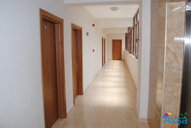 afissia garden avsa 13