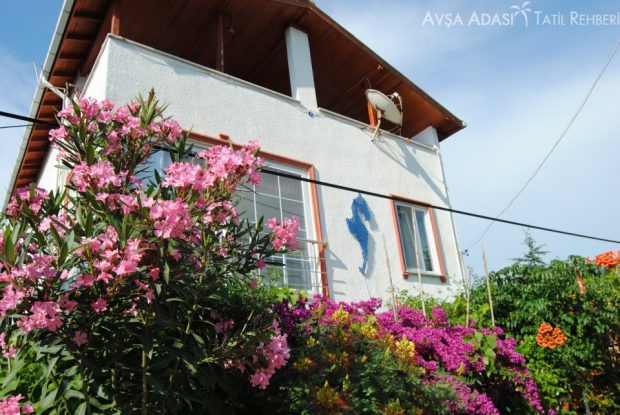 Avşa Adası Satılık ve Kiralık Daire Fiyatları Ne Durumda? Avşa Adası