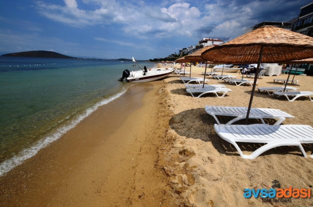 deniz yildizi apart avsa 24