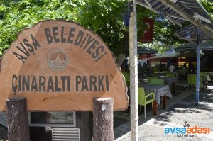Avşa Adası Çınar Altı Çay Bahçesi