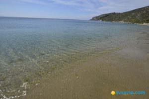 Avşa Adası Denizi Nasıl? Derin mi, Temiz mi? 2026 Güncel Veriler