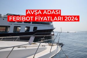 Avşa Adası Feribot Fiyatları 2026