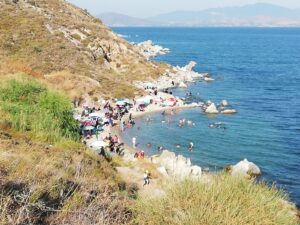 Avşa Adası Kadınlar Plajı Rehberi 2026