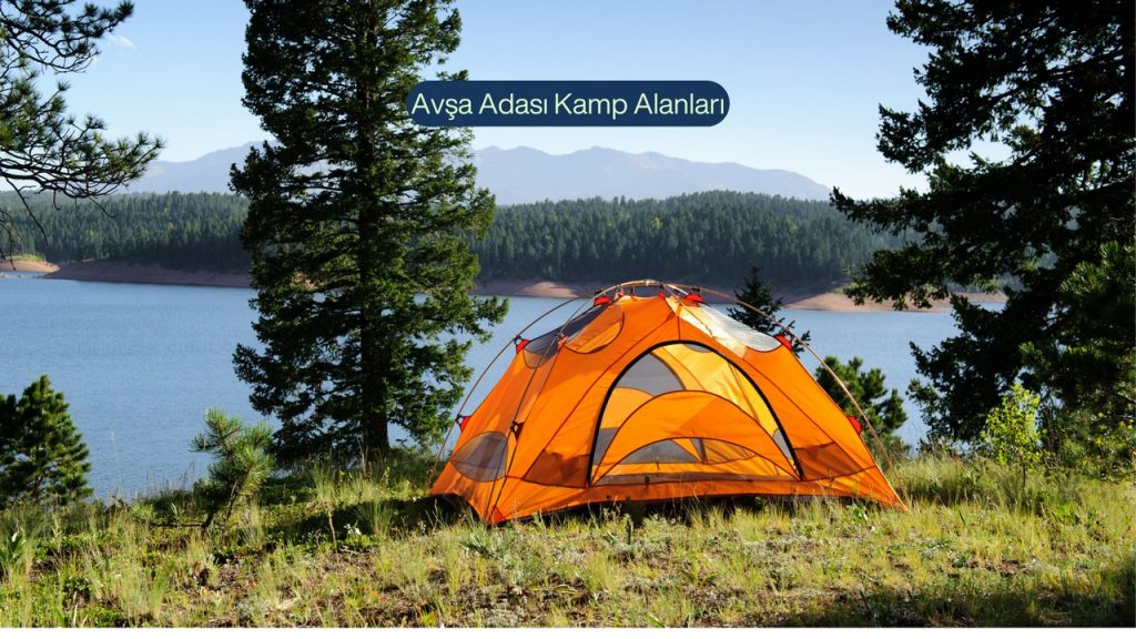 AVŞA KAMP ALANLARI