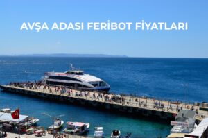 Avşa Adası Feribot Fiyatları 2026